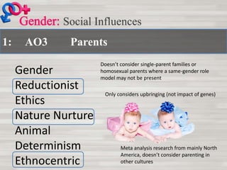 1: AO3 Parents
Social Influences
Gender
Reductionist
Ethics
Nature Nurture
Animal
Determinism
Ethnocentric
Meta analysis research from mainly North
America, doesn’t consider parenting in
other cultures
Doesn’t consider single-parent families or
homosexual parents where a same-gender role
model may not be present
Only considers upbringing (not impact of genes)
 