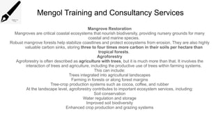 Mengol Training and Consultancy Services
Mangrove Restoration
Mangroves are critical coastal ecosystems that nourish biodiversity, providing nursery grounds for many
coastal and marine species.
Robust mangrove forests help stabilize coastlines and protect ecosystems from erosion. They are also highly
valuable carbon sinks, storing three to four times more carbon in their soils per hectare than
tropical forests.
Agroforestry
Agroforestry is often described as agriculture with trees, but it is much more than that. It involves the
interaction of trees and agriculture, including the productive use of trees within farming systems.
This can include:
Trees integrated into agricultural landscapes
Farming in forests or along forest margins
Tree-crop production systems such as cocoa, coffee, and rubber
At the landscape level, agroforestry contributes to important ecosystem services, including:
Soil conservation
Water regulation and storage
Improved soil biodiversity
Enhanced crop production and grazing systems
 