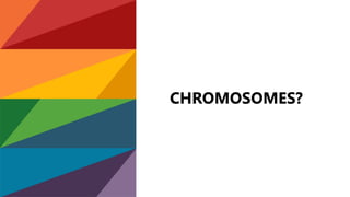 CHROMOSOMES?
 