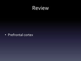 Review
• Prefrontal cortex
 