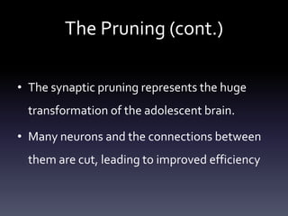 The Pruning (cont.)
• The synaptic pruning represents the huge
transformation of the adolescent brain.
• Many neurons and the connections between
them are cut, leading to improved efficiency
 