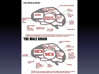 Gender and the brain