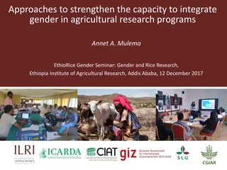 Approaches to strengthen the capacity to integrate
gender in agricultural research programs
Annet A. Mulema
EthioRice Gender Seminar: Gender and Rice Research,
Ethiopia Institute of Agricultural Research, Addis Ababa, 12 December 2017
 