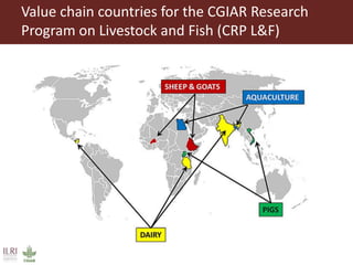 Approaches to strengthen the capacity to integrate gender in agricultural research programs