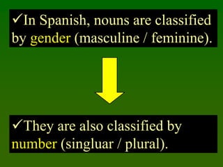 Gender, articles & plurals