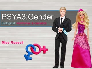 PSYA3:Gender
Biological: Hormones & Genetics
Miss Russell
 