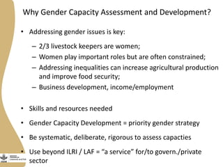 Gender capacity assessment and development in the CGIAR Livestock and Fish Research Program: Focus group discussions