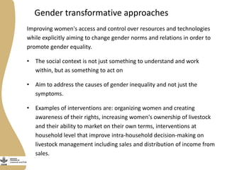 Gender capacity assessment and development in the CGIAR Livestock and Fish Research Program: Focus group discussions
