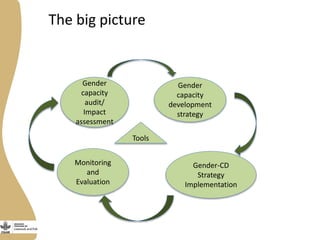 Gender capacity assessment and development in the CGIAR Livestock and Fish Research Program: Focus group discussions
