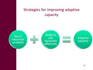 Climate change: Are women important in addressing this challenge?