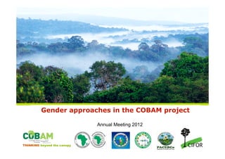 Gender approaches in the COBAM project

                             Annual Meeting 2012



THINKING beyond the canopy
 