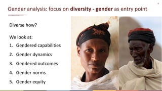 Gender diversity