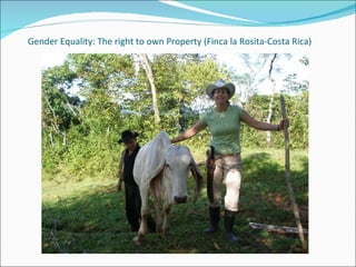 Gender Equality: The right to own Property (Finca la Rosita-Costa Rica) 
