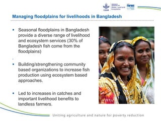 Managing floodplains for livelihoods in Bangladesh
 Seasonal floodplains in Bangladesh
provide a diverse range of livelihood
and ecosystem services (30% of
Bangladesh fish come from the
floodplains)
.
 Building/strengthening community
based organizations to increase fish
production using ecosystem based
approaches.
 Led to increases in catches and
important livelihood benefits to
landless farmers.
 