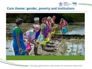 Core theme: gender, poverty and institutions
 About Gender, Poverty, and Institutions (GPI)
Photo: Ian Taylor/CPWF Mekong
 