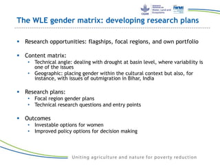 The WLE gender matrix: developing research plans
 Research opportunities: flagships, focal regions, and own portfolio
 Content matrix:
• Technical angle: dealing with drought at basin level, where variability is
one of the issues
• Geographic: placing gender within the cultural context but also, for
instance, with issues of outmigration in Bihar, India
 Research plans:
• Focal region gender plans
• Technical research questions and entry points
 Outcomes
• Investable options for women
• Improved policy options for decision making
 