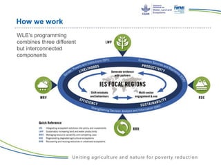 How we work
WLE’s programming
combines three different
but interconnected
components
 
