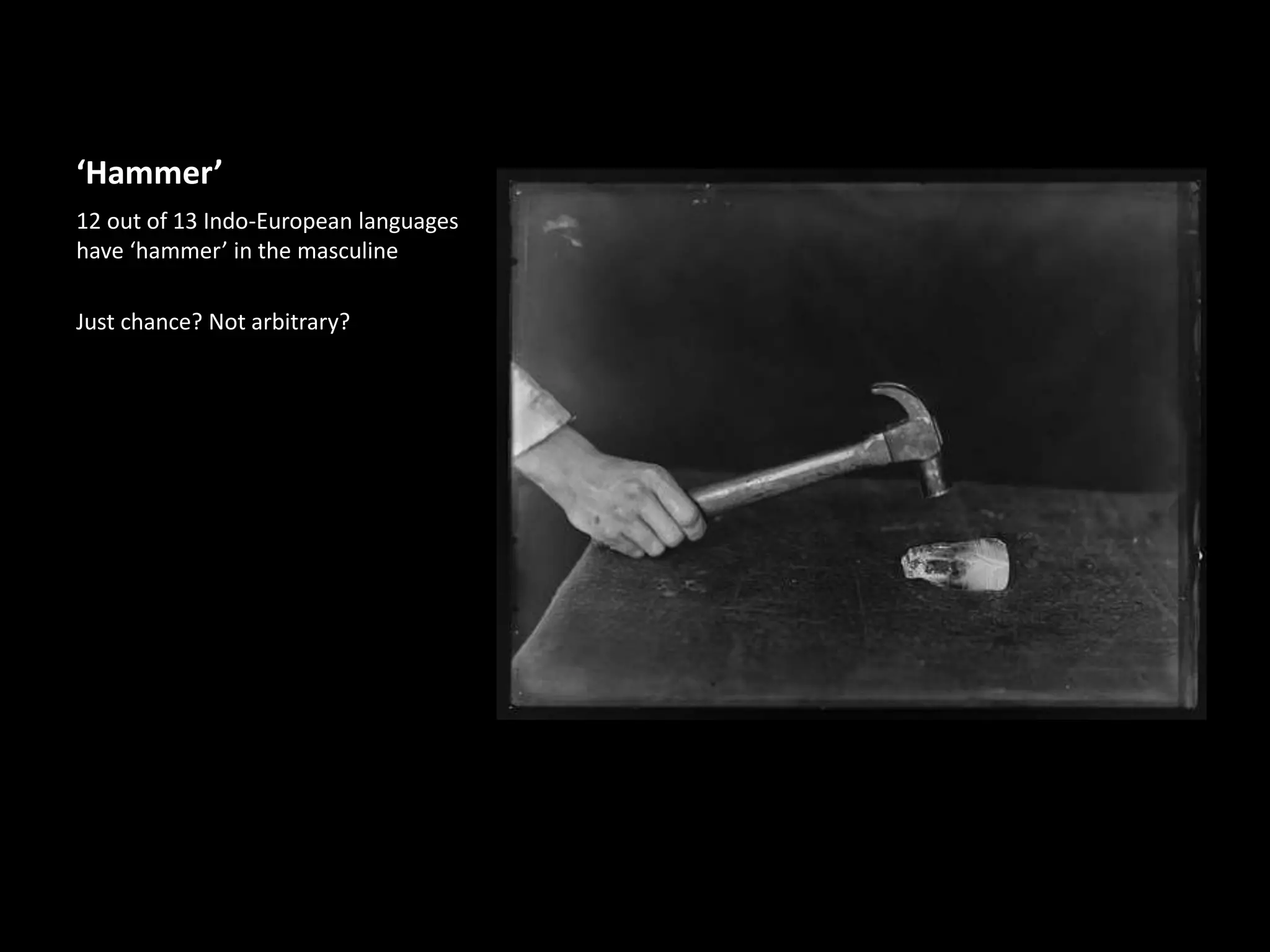 ‘Hammer’
12 out of 13 Indo-European languages
have ‘hammer’ in the masculine
Just chance? Not arbitrary?
 