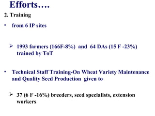 Efforts….
2. Training
• from 6 IP sites
 1993 farmers (166F-8%) and 64 DAs (15 F -23%)
trained by ToT
• Technical Staff Training-On Wheat Variety Maintenance
and Quality Seed Production given to
 37 (6 F -16%) breeders, seed specialists, extension
workers
 