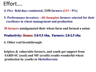 Effort….
4. Five field days conducted, 2358 farmers (215 - 9%)
5. Performance inventory - 60 champion farmers selected for their
excellence in wheat management and production
30 farmers amalgamated their wheat farm and formed a union
Productivity:Productivity: Demos:Demos: 5.0-5.5 t/ha, Farmers: 2.0-2.5 t/ha5.0-5.5 t/ha, Farmers: 2.0-2.5 t/ha
6. Other real breakthrough:
helpless & vulnerable farmers, and youth got support from
SARD-SC (seed) and MF (credit) results wonderful wheat
production by youths in Shebelberenta
 