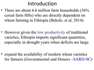 Introduction
• There are about 4.6 million farm households (36%
cereal farm HHs) who are directly dependent on
wheat farming in Ethiopia (Bekele, et al, 2014).
• However given the low productivity of traditional
varieties, Ethiopia imports significant quantities,
especially in drought years when deficits are large.
• expand the availability of modern wheat varieties
for farmers (Governmental and Donors –SARD-SC)
 