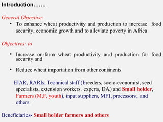 Introduction…….
General Objective:
• To enhance wheat productivity and production to increase food
security, economic growth and to alleviate poverty in Africa
Objectives: to
• Increase on-farm wheat productivity and production for food
security and
• Reduce wheat importation from other continents
EIAR, RARIs, Technical staff (breeders, socio-economist, seed
specialists, extension workers. experts, DA) and Small holder,
Farmers (M,F, youth), input suppliers, MFI, processors, and
others
Beneficiaries- Small holder farmers and others
 