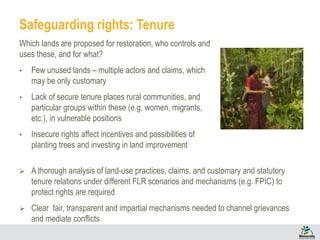 Gender matters in Forest Landscape Restoration: A framework for design ...
