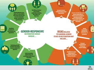 Gender matters in Forest Landscape Restoration: A framework for design ...