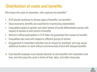 Gender matters in Forest Landscape Restoration:  A framework for design and evaluation