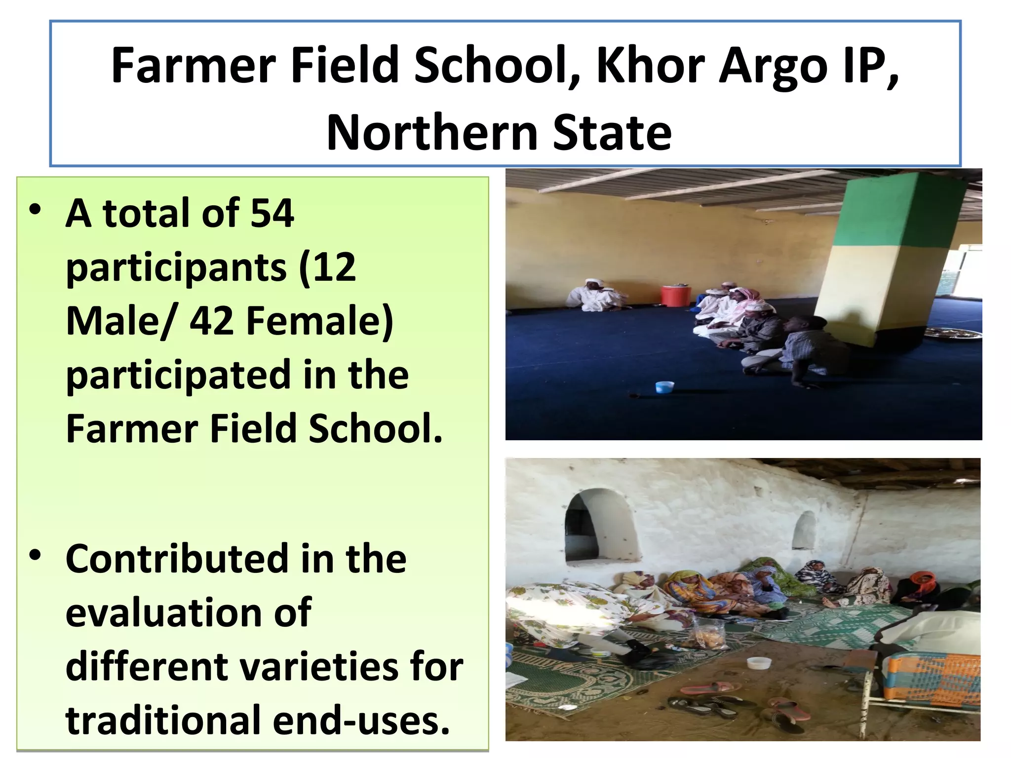 Farmer Field School, Khor Argo IP,
Northern State
• A total of 54
participants (12
Male/ 42 Female)
participated in the
Farmer Field School.
• Contributed in the
evaluation of
different varieties for
traditional end-uses.
• A total of 54
participants (12
Male/ 42 Female)
participated in the
Farmer Field School.
• Contributed in the
evaluation of
different varieties for
traditional end-uses.
 
