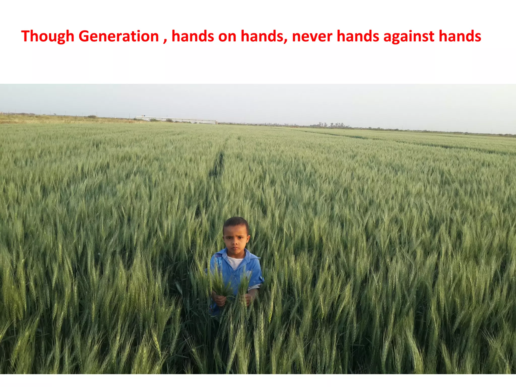 Though Generation , hands on hands, never hands against hands
 