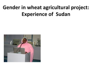 Gender in wheat agricultural project:
Experience of Sudan
 