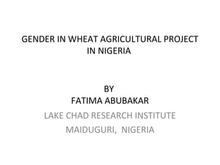 GENDER IN WHEAT AGRICULTURAL PROJECT
IN NIGERIA
BY
FATIMA ABUBAKAR
LAKE CHAD RESEARCH INSTITUTE
MAIDUGURI, NIGERIA
 