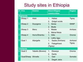 Safe Food, Fair Food: Summary of findings on gender-related issues within sheep   and goat value chains in Ethiopia