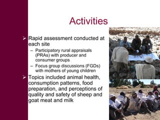 Safe Food, Fair Food: Summary of findings on gender-related issues within sheep   and goat value chains in Ethiopia