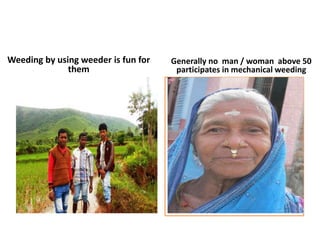 Weeding by using weeder is fun for
them
Generally no man / woman above 50
participates in mechanical weeding
 