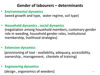 Gender of labourers – determinants
• Environmental dynamics
(weed growth and type, water regime, soil type)
• Household dynamics , social dynamics
(negotiation among household members, customary gender
role in weeding, household gender roles, institutional
membership, livelihood strategies)
• Extension dynamics
(provisioning of tool - availability, adequacy, accessibility,
ownership , management, clientele of training)
• Engineering dynamics
(design , ergonomics of weeders) 14
 