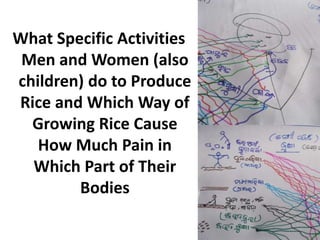What Specific Activities
Men and Women (also
children) do to Produce
Rice and Which Way of
Growing Rice Cause
How Much Pain in
Which Part of Their
Bodies
 