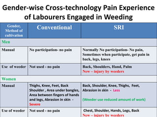 Gender-wise Cross-technology Pain Experience
of Labourers Engaged in Weeding
Gender,
Method of
cultivation
Conventional SRI
Men
Manual No participation- no pain Normally No participation- No pain,
Sometimes when participate, get pain in
back, legs, knees
Use of weeder Not used - no pain Back, Shoulders, Hand, Palm
New – injury by weeders
Women
Manual Thighs, Knee, Feet, Back
Shoulder , Area under bangles,
Area between fingers of hands
and legs, Abrasion in skin -
Severe
Back, Shoulder, Knee, Thighs, Feet,
Abrasion in skin - Less
(Weeder use reduced amount of work)
Use of weeder Not used - no pain Chest, Shoulder, Hands, Legs, Back
New – injury by weeders
 