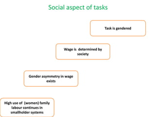 Social aspect of tasks
Gender asymmetry in wage
exists
Wage is determined by
society
Task is gendered
High use of (women) family
labour continues in
smallholder systems
 
