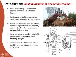 Does participation of household members in small ruminant management activities vary by agro-ecologies and category of respondents? Evidence from rural Ethiopia