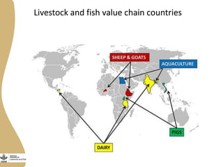 Gender Research in the Livestock and Fish CGIAR research program