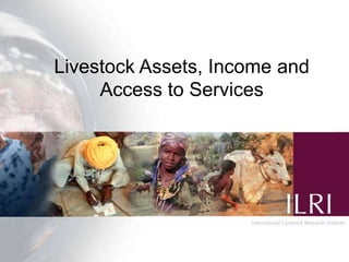Gender and livestock value chains in Kenya and Tanzania