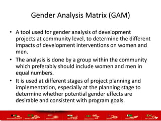 Sample Gender Risk Matrix Gender mainstreaming in organization, policies, programs and projects ...