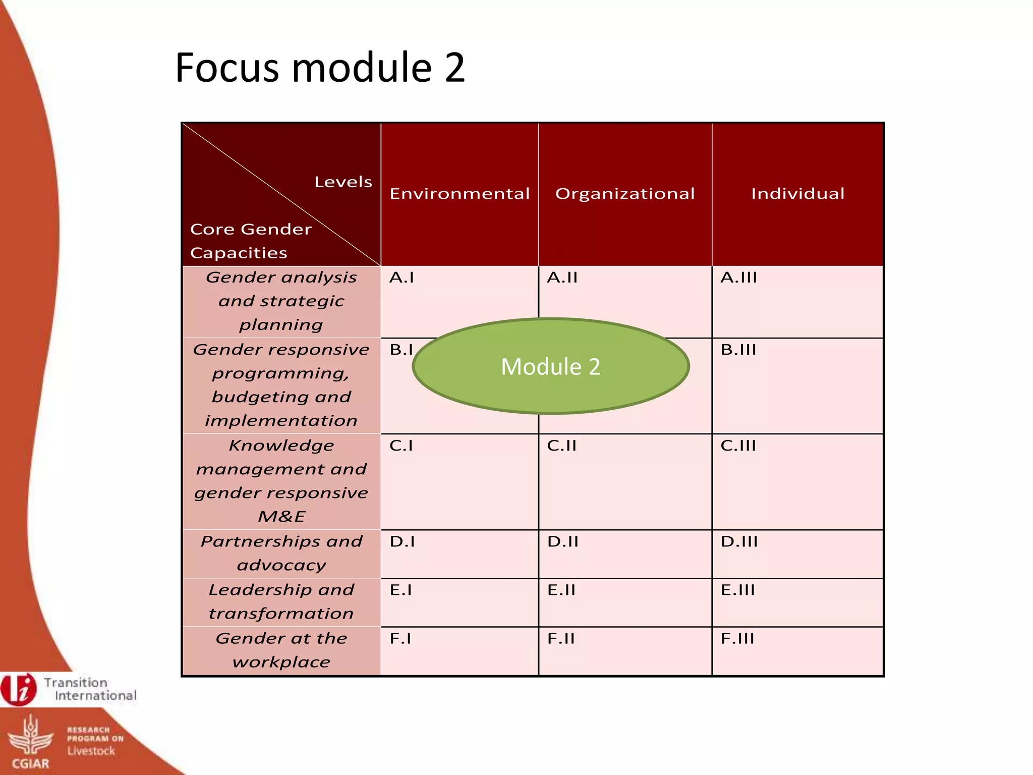 Levels
Core Gender
Capacities
Environmental Organizational Individual
Gender analysis
and strategic
planning
A.I A.II A.III
Gender responsive
programming,
budgeting and
implementation
B.I B.II B.III
Knowledge
management and
gender responsive
M&E
C.I C.II C.III
Partnerships and
advocacy
D.I D.II D.III
Leadership and
transformation
E.I E.II E.III
Gender at the
workplace
F.I F.II F.III
Module 2
Focus module 2
 
