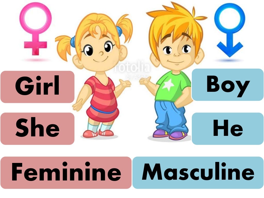 gender-of-nouns