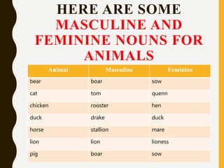 Gender of nouns 5