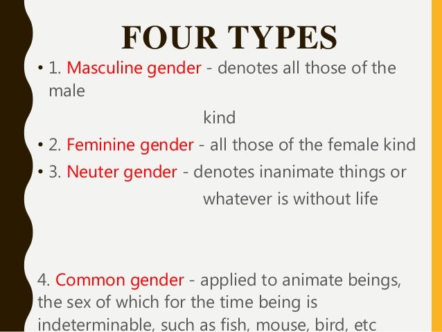 Gender Of Nouns 5