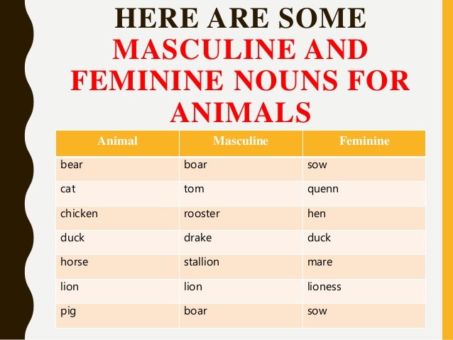Neuter Gender Nouns Examples | www.pixshark.com - Images ...