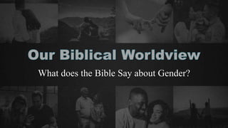 What does the Bible Say about Gender?
 
